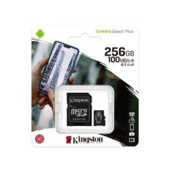 SDCS2/256GB Micro sd canvas select plus