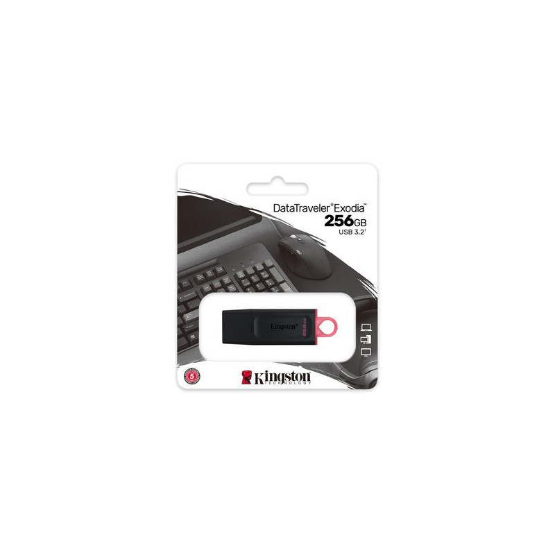 DTX/256GB Memoria usb 3,2 256 gb tapa