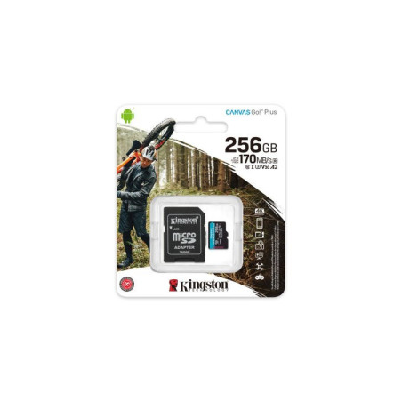 SDCG3/256GB MICRO SD 256 GB 4 K 170 MBS