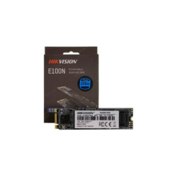 HS-SSD-E100N(STD)/256G