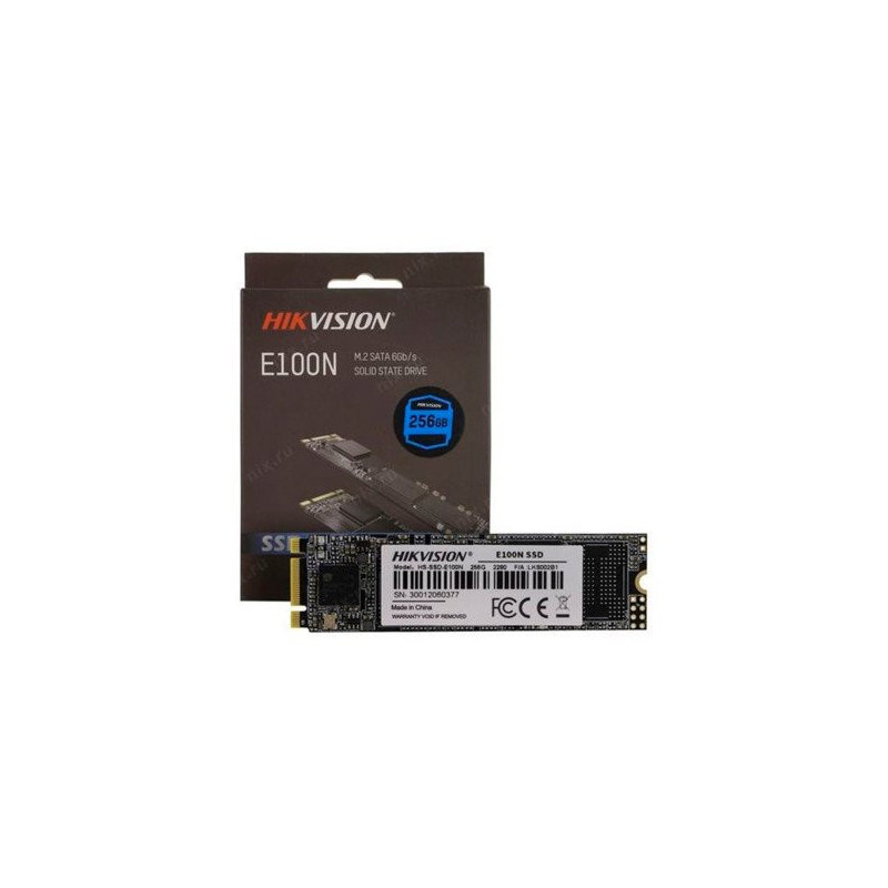 HS-SSD-E100N(STD)/256G