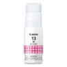4669C001AA BOTELLA MAGENTA GI 13