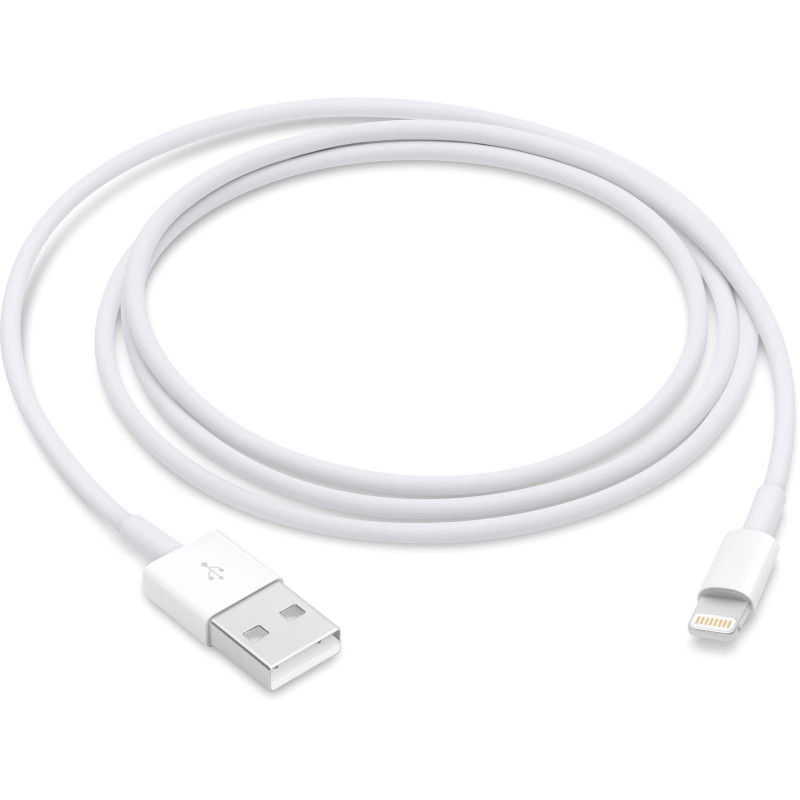 MXLY2AM/A Apple Cable de conector Lightning a USB (1 m)