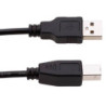 SAT CABLE IMPRESORA USB 2.0 5M