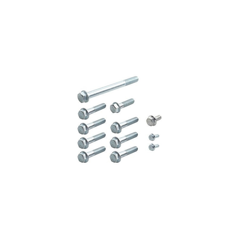 KIT DE TORNILLOS SAT PARA LECTOR DP200