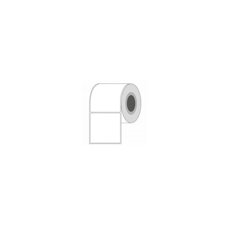 ROLLO DE ETIQUETAS TT SAT 100MMX90MM C3 R1000 1COL P
