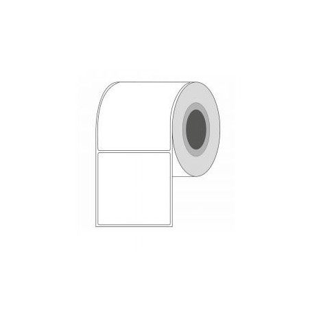 ROLLO DE ETIQUETAS TT SAT 100MMX90MM C3 R1000 1COL P
