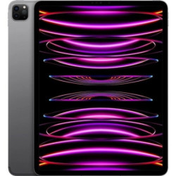 MP263LZ/A IPAD PRO 12.9 WF CL 2T GRY-LAE