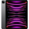 MP263LZ/A IPAD PRO 12.9 WF CL 2T GRY-LAE