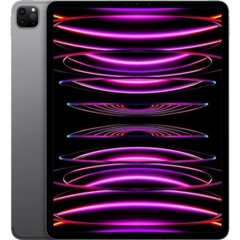 MP243LZ/A IPAD PRO 12.9 WF CL 1T GRY-LAE