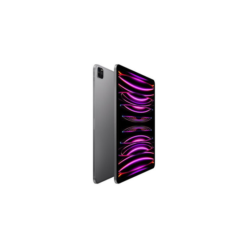 MP223LZ/A IPAD PRO 12.9 WF CL 512 GRY-LAE