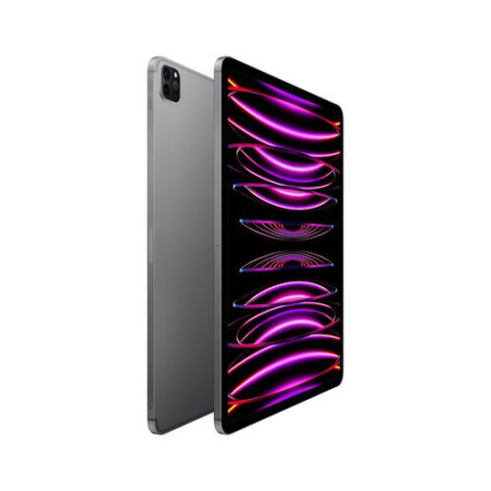 MP223LZ/A IPAD PRO 12.9 WF CL 512 GRY-LAE