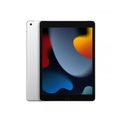 MK4H3LZ/A IPAD WI-FI CL 256GB SLV-LAE