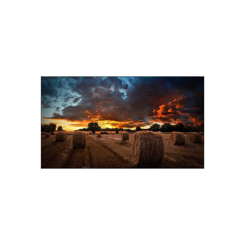 MONITOR INDUSTRIAL QB65R 65" - LH65QBRBBGCXGO